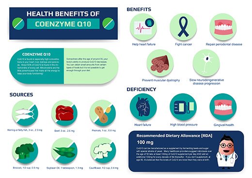 Coenzyme Q benefits